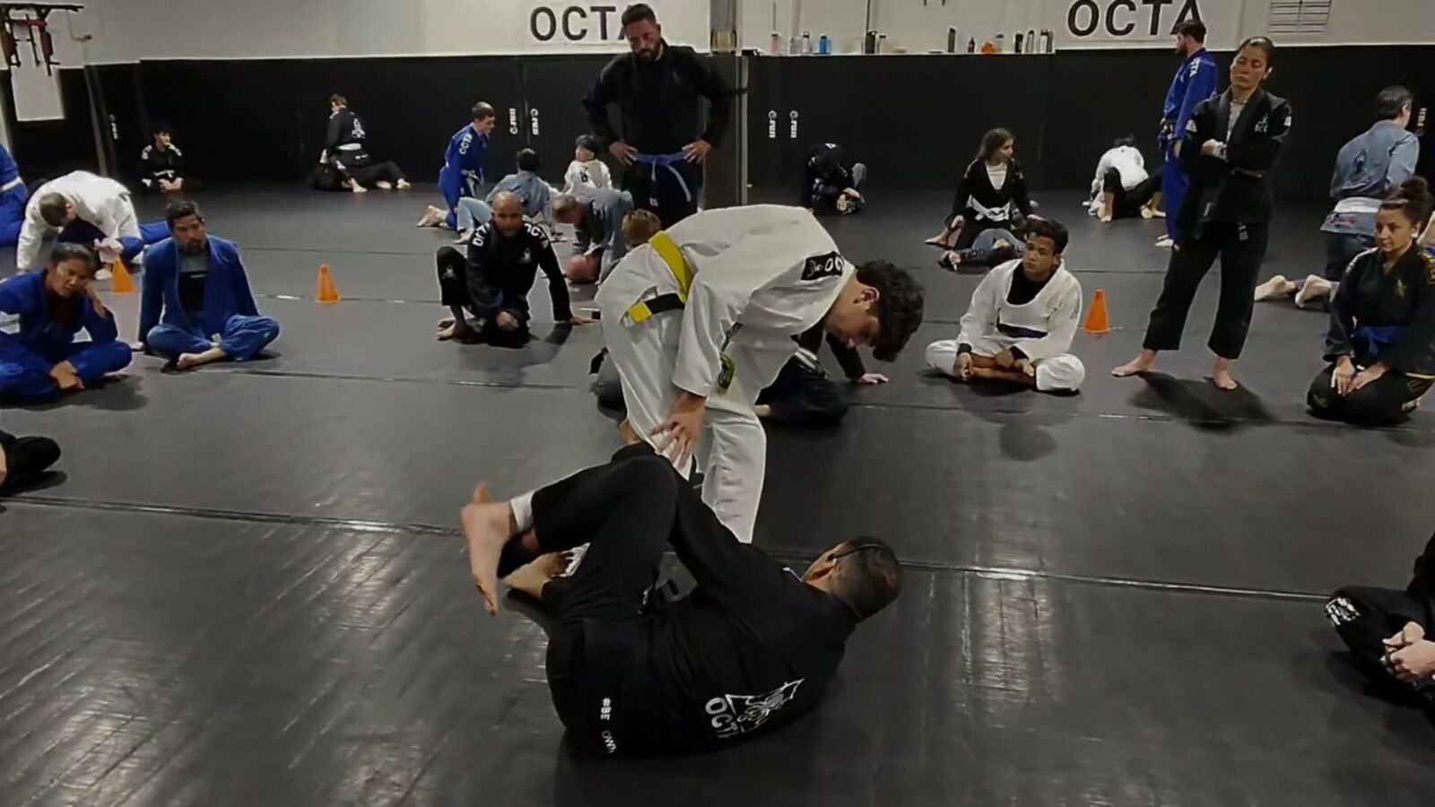 How a Family-First Jiu-Jitsu Model Scaled to Multiple Locations